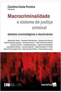Macrocriminalidade E Sistema De Justica Criminal - Debates Criminologicos E Doutrinarios