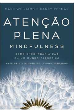 ATENCAO PLENA (MINDFULNESS)