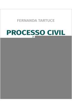 Processo Civil no Direito de FamÍlia: Teoria e Prática
