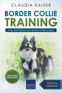 Livro Border Collie Training - Dog Training for your Border Collie puppy