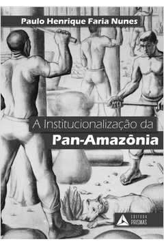 A institucionalização da Pan-Amazônia