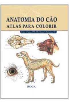 Sebo do Messias Livro - Atlas de Anatomia Veterinária - Para Colorir