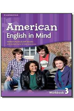 AMERICAN ENGLISH IN MIND 3 WORKBOOK