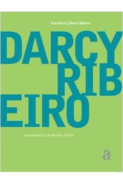 Encontros - Darcy Ribeiro