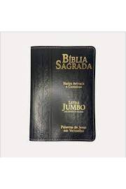 Bíblia Jumbo Capa Luxo I Harpa I Preta
