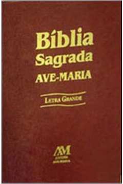 BIBLIA SAGRADA AM COM A LETRA GRANDE MARROM